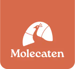 Molecaten nl